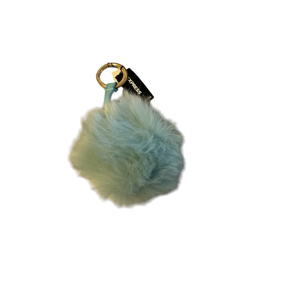 Blue express purse Pom Pom